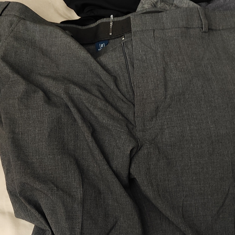 Dress pants